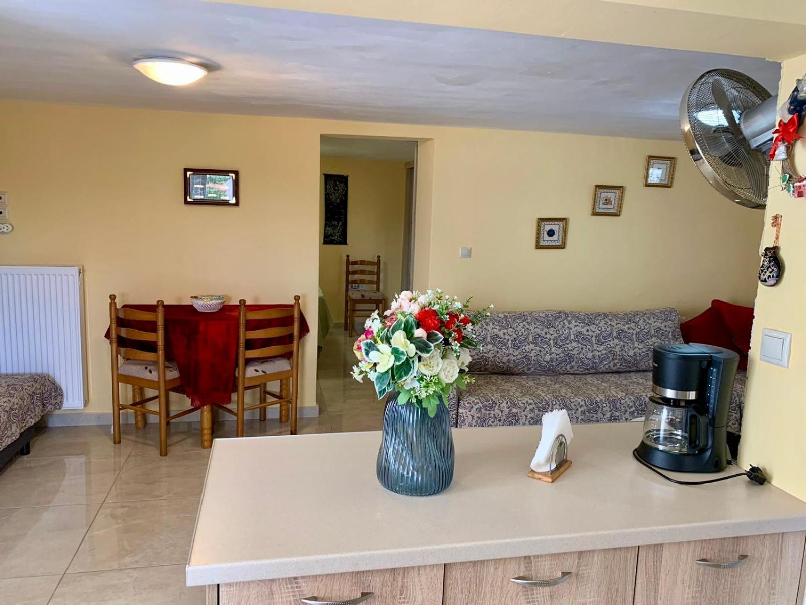 Sofia'S Seaview Villa Near Airport And Beach Artemida  Luaran gambar
